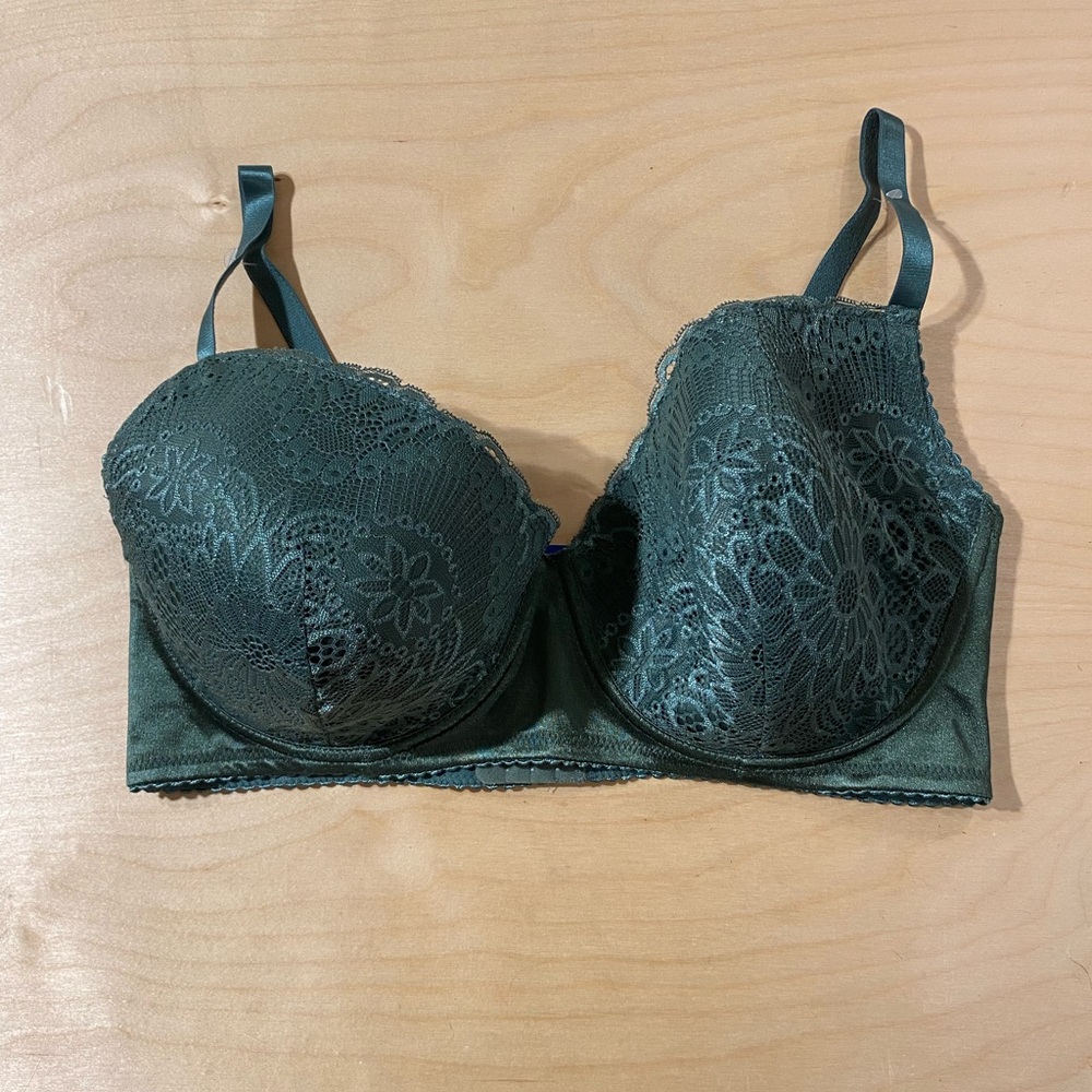 Pure Beauty by Rene Rofe Green Bra 44 DD NWOT (OM)